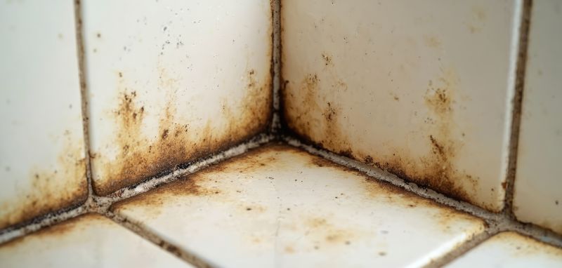 Mildew Tile Cleaning Service