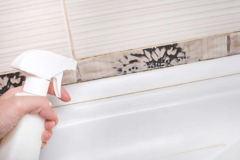 Mildew Tile Cleaning Service