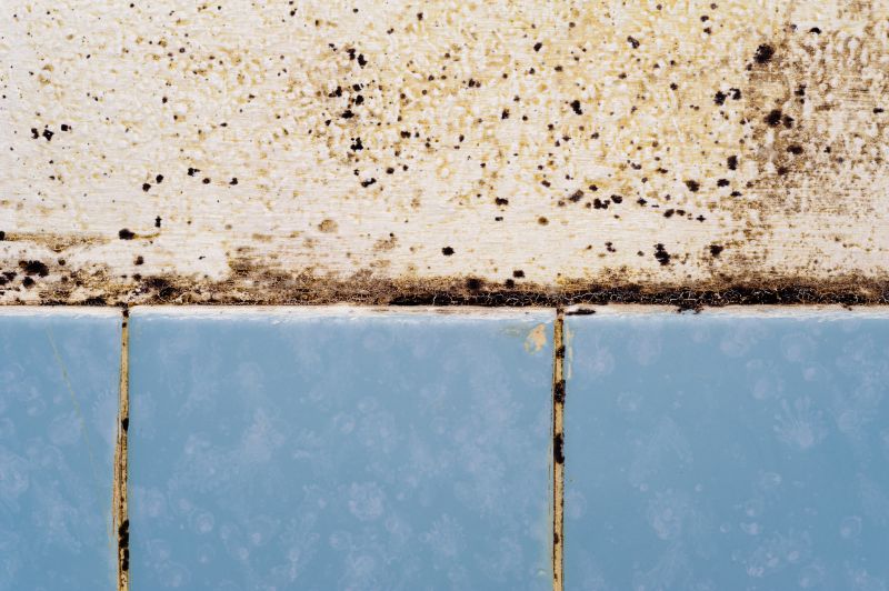 Mildew on Bathroom Tiles